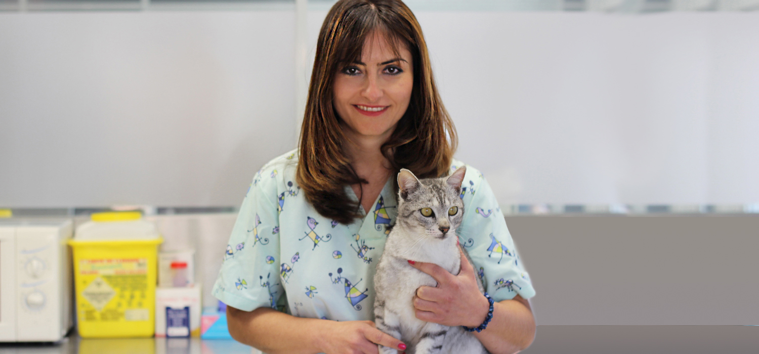 Clara Jiménez con un gato en consulta